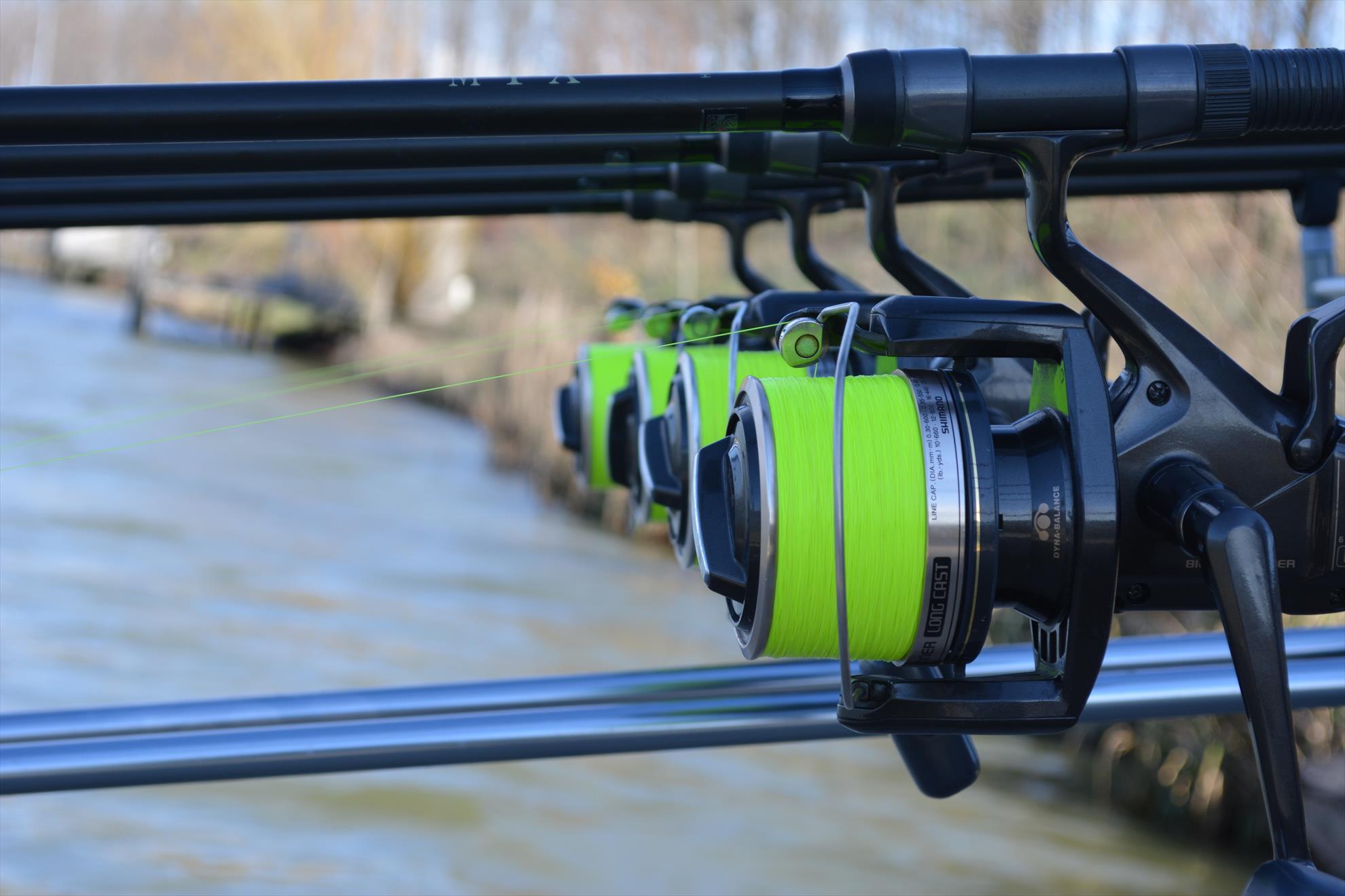 Magura 9 - 16.03.2014 - dsc0097.JPG